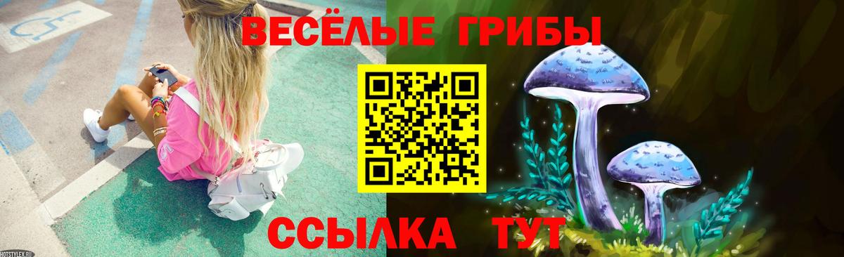 Псилоцибиновые грибы MAGIC MUSHROOMS  Псилоцибиновые грибы MAGIC MUSHROOMS  Качканар  Вход с VPN 