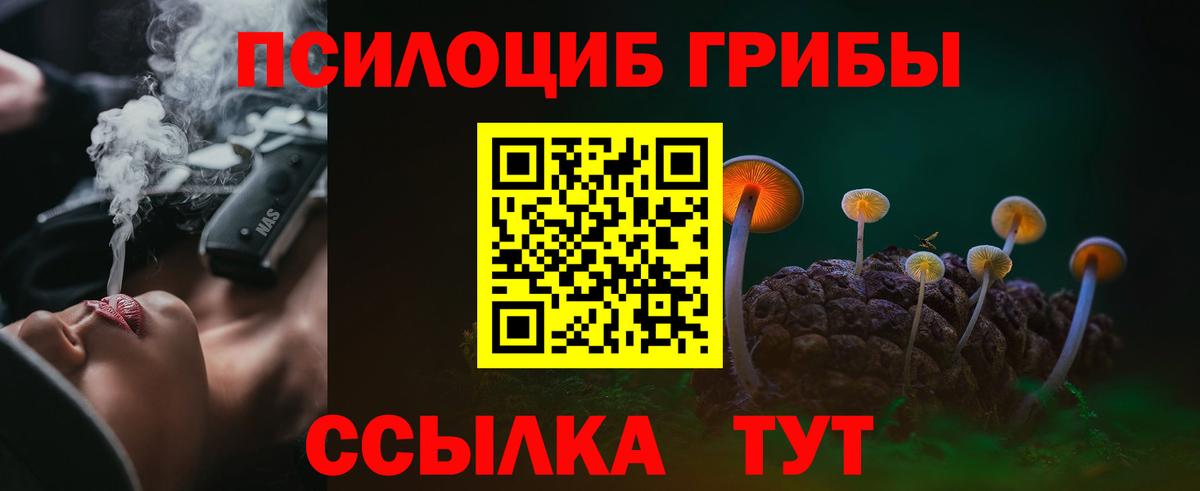 Псилоцибиновые грибы GOLDEN TEACHER Качканар